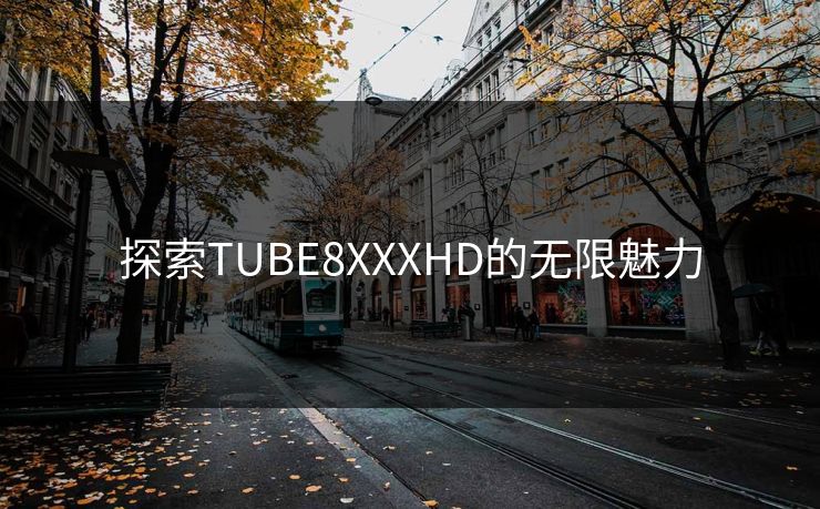 探索TUBE8XXXHD的无限魅力